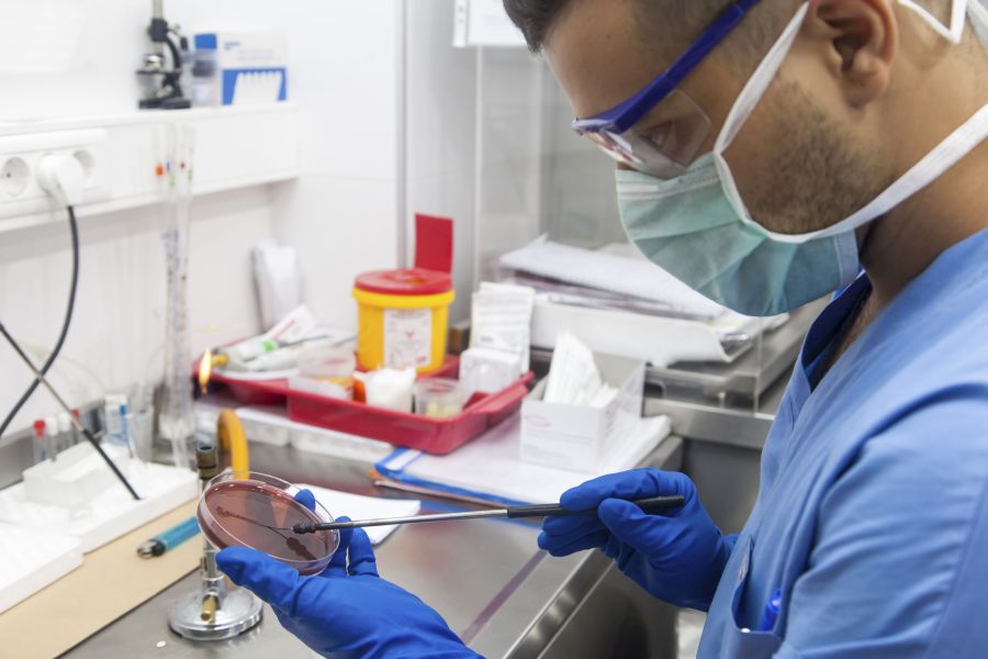 Eine automatisierte Diagnostik-Plattform soll zukünftig manuelle Laboruntersuchungen ersetzen.
