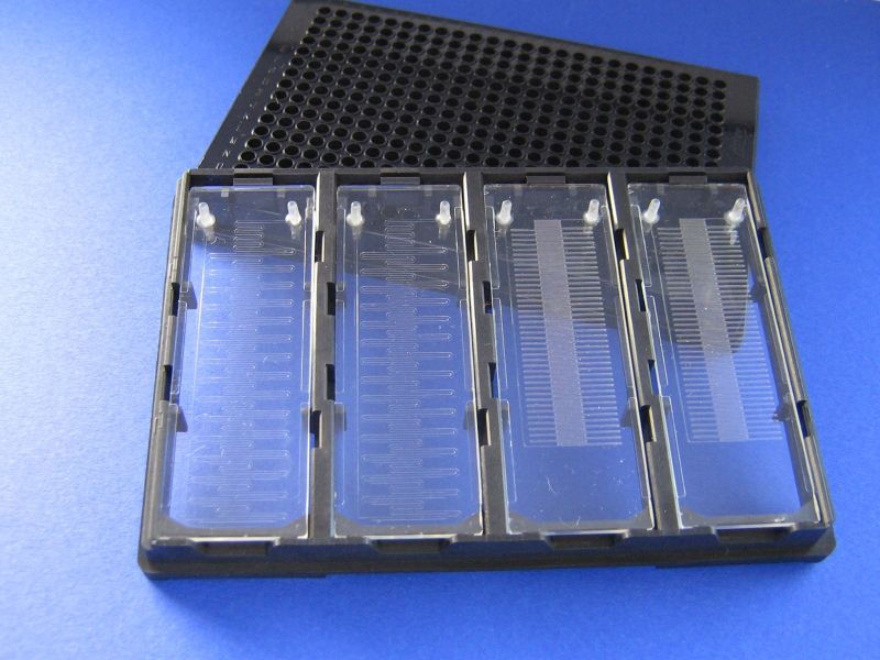 Weniger ist mehr: das Labor zum Mitnehmen im Kreditkartenformat. Lab-on-a-Chip-Systeme für die ultraschnelle PCR.